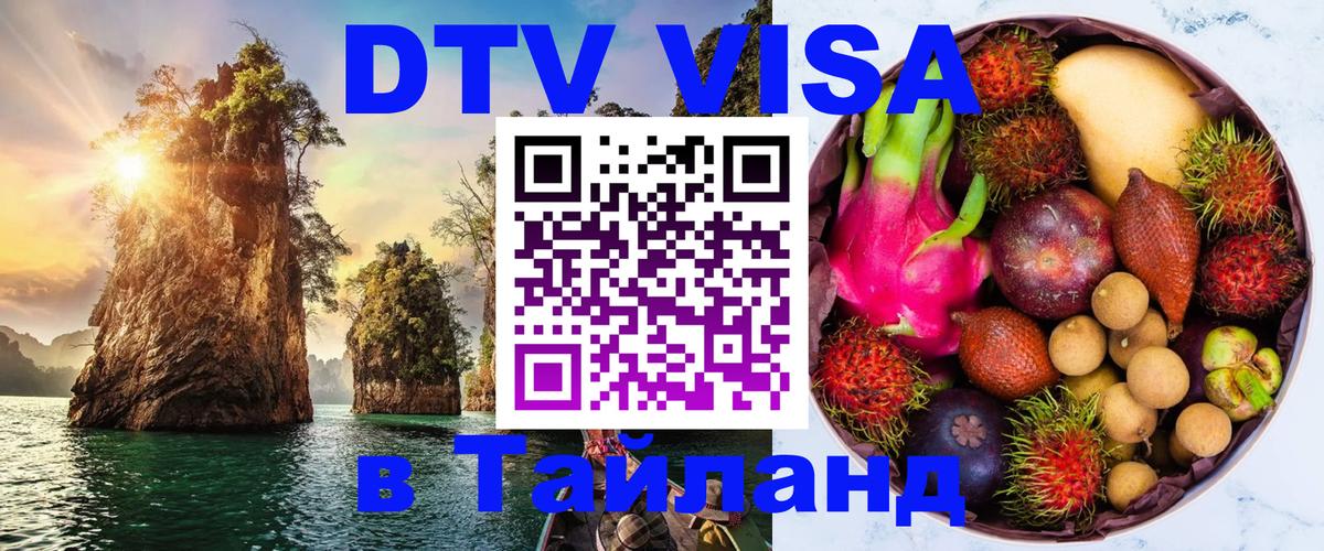 Оформление DTV визы под ключ: стоимость и тарифы, только загранпаспорт - Брянск  19.11.2025 